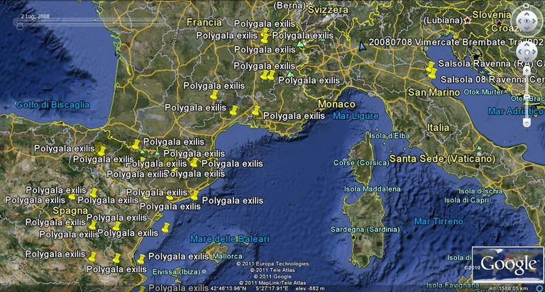 Mappa Distribuzione Polygala exilis secondo Istituzioni spagnole.jpg