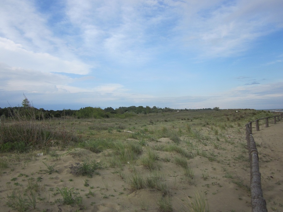 dune (1).JPG