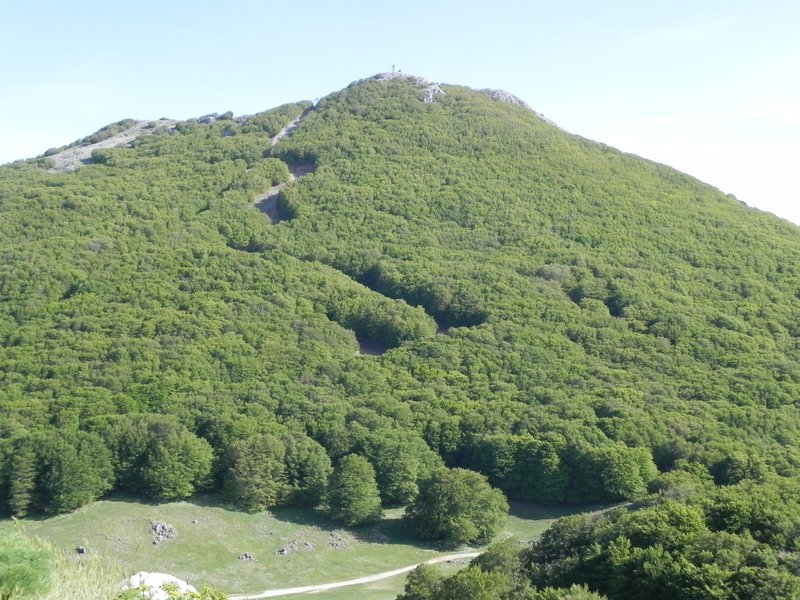 Monte Mufara .JPG