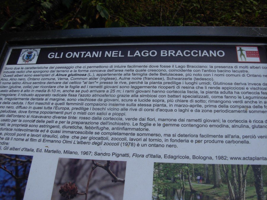 Montese-Lago Bracciano-18-08-19 253.JPG