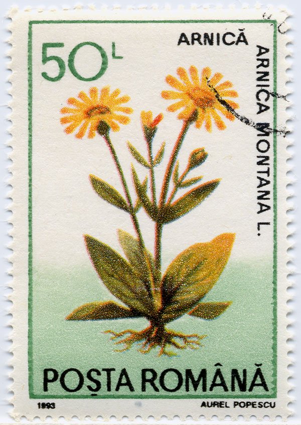 francobolli-fiori-3.jpg
