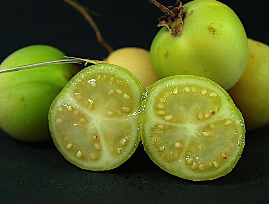 <i>Solanum tuberosum</i> L.