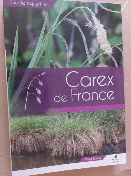 Carex de Francee_3.jpg